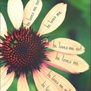 Meet your Posher, Mb